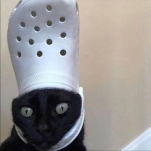 Meet your Posher, Sage